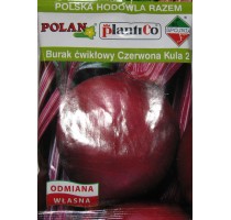 Table beet Red ball 2 (weight 50 gr., producer Poland, seeds processed)