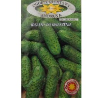 Cucumber Anrus F1 (seeds ecologically treated with fertilizer for PRIMUS L seeds)