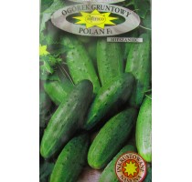 Cucumber Polan F1 (seeds ecologically treated with fertilizer for PRIMUS L seeds)