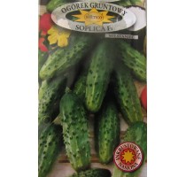 Cucumber Soplitsia F1 (seeds encrusted with environmentally friendly fertilizer Primus L)
