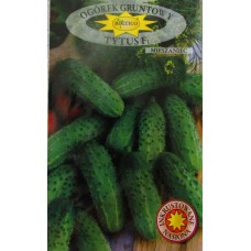 Cucumber Titus F1 (seeds ecologically treated with fertilizer for PRIMUS L seeds)