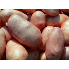 Potato Lapot