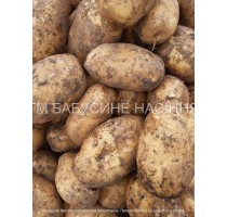 Colombo potatoes