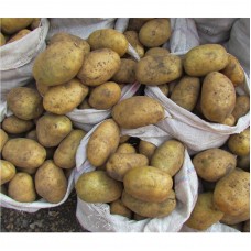 Potatoes plot