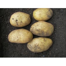 Potatoes Carrera