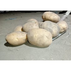 Luhivska potatoes