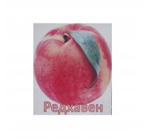 Peach Redhaven