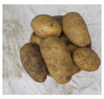  Potatoes Rev'yera