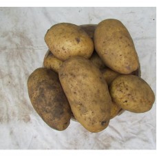  Potatoes Rev'yera