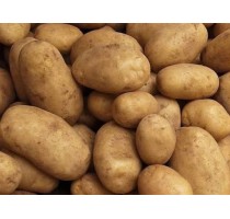 Вирощування картоплі 